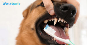 a dog brushing teeth with a toothbrush